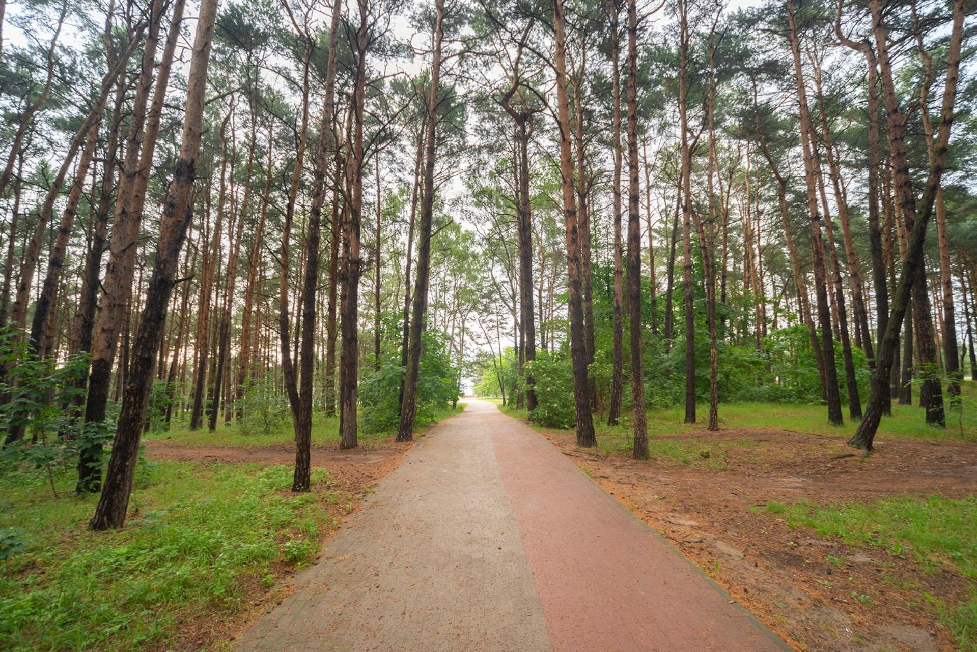 Apartament Wygodny Sopot Buitenkant foto